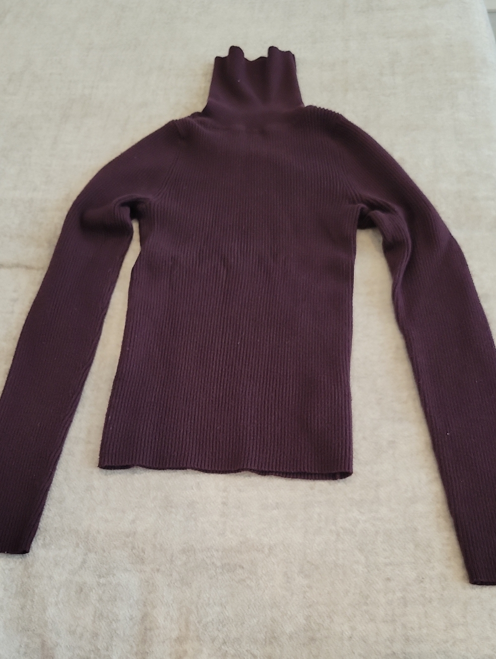 Express: Dark Purple Turtleneck, Used, Size XXS